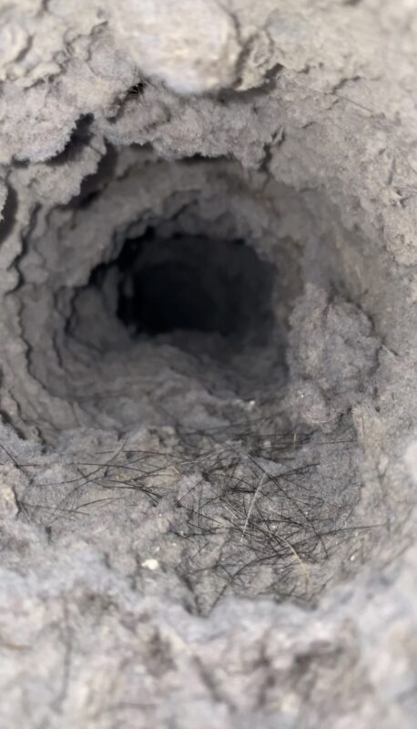 Lint in the exhaust line.