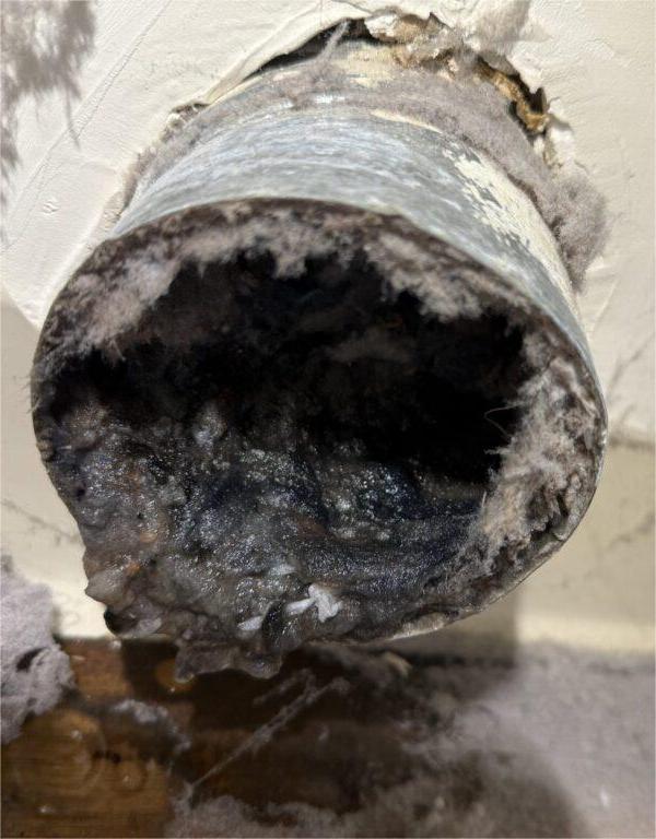 Wet lint in the dryer exhaust