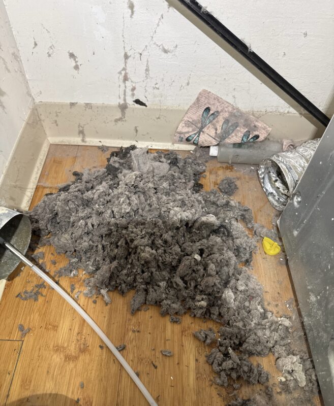 Lint